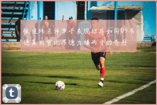 张佳玮点评华子表现称其如同09韦德莱利曾比韦德为矮两寸的乔丹